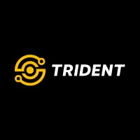 Trident Systems logo