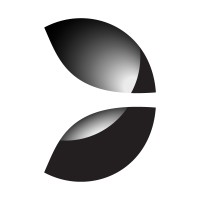 Evolution Gaming Group logo