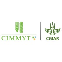 CIMMYT logo