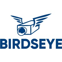 Birdseye Security Solutions logo