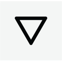 Brightvision logo