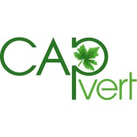 Cap Vert Finance logo