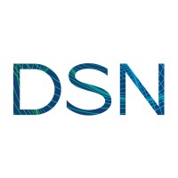 DSN Software logo