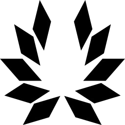 MeritFirst logo