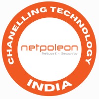 Netpoleon Solutions logo