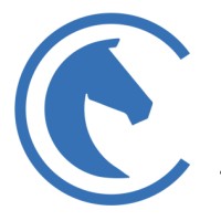 Palmetto Technology Group logo