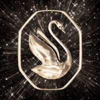 Swarovski Crystal Business logo