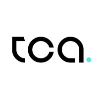The Consultant Agency logo