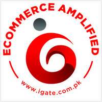 iGATE Technology logo